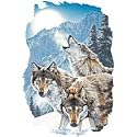 Three Wolves Womens T-Shirt Dress