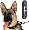Hi-Craft Hi-Control Klip-on Action Collar - Large