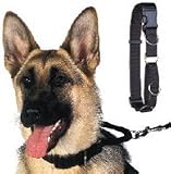 Hi-Craft Hi-Control Klip-on Action Collar Medium