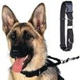 Hi-Craft Hi-Control Klip-on Action Collar - Large