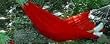 Red Island Bay Portable Hammocks With Carry Bag
