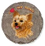 Stepping Stone - Yorkshire Terrier