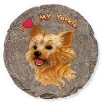 Stepping Stone - Yorkshire Terrier