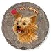 yorkshire terrier - Stepping Stone - Yorkshire Terrier
