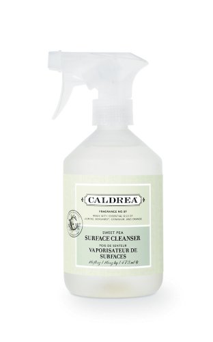 Caldrea Surface Cleanser, Sweet Pea, 16-Ounce Bottles (Pack of 6) by Caldrea
