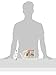 IRIS Wire Pet Food Can Dispensers, Holds (6) 12.5-ounce Cans