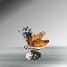 Crystal Medium Butterfly with Amber Wings #5802-A