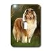 Dogs Border Collie - Collie - Light Switch Covers - single toggle switch