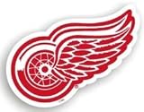 Detroit Red Wings 12 Car Magnet - HOCKEY Sports Merchandise