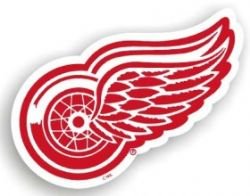 Detroit Red Wings 12 Car Magnet - HOCKEY Sports Merchandise