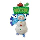 One Fun Son 2010 Hallmark Keepsake Ornament Personalize