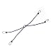 キャプテンスタッグ(CAPTAIN STAG) ストレッチコード50cm×8mm(フック4個付) M-7443