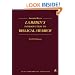 Annotated Key to Lambdin's Introduction to Biblical Hebrew (Manuals Series)