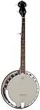 Musical Instruments : Washburn B11 5-string Banjo with case