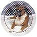 Boxer Dog Absorbastone Coaster Set of 4