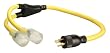 Coleman Cable 01924 3-Feet 12/4 Generator Power Cord Adapter, L14-20P to (2) 5-20R