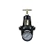 Coilhose Pneumatics 8802GL Heavy Duty Series Regulator, 1/4-Inch Pipe Size with Gauge and Low Pressure Spring (0-50 PSI)