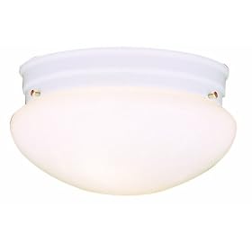 Buy Thomas Lighting Pl326-8L Energy Star Certified Two-Light Multi-Purpose Flushmount,... by Thomas Lighting now!