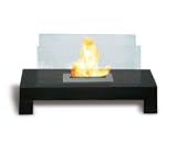 Anywhere Fireplace Gramercy Indoor/Outdoor Fireplace
