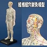 �����з�蝹��Ϸ�