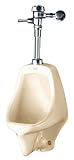 American Standard 6541.132.021 Allbrook Vitreous China 1.0 GPF Urinal, Bone