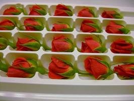 フレッシュ　エディブルフラワー（食用花）　ベルローズ（赤バラ）　1パック20個入り