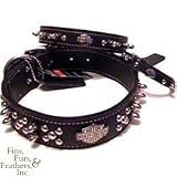 Coastal Pet Harley-Davidson Spiked Leather Dog Collar (Black, 10 inch L x 3/8 inch W)