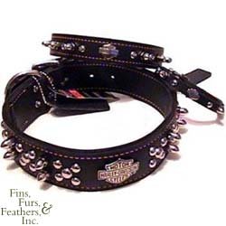 Coastal Pet Harley-Davidson Spiked Leather Dog Collar (Black, 16 Inch L x 5 8 Inch W) by Coastal Pet Products Inc