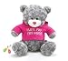 Plush Teddy Bear With Printed Hoodie That Says 