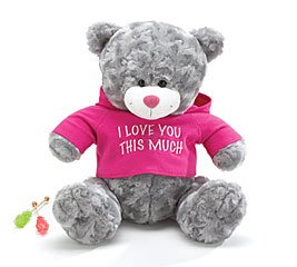 31acMJVs EL Plush Teddy Bear With Printed Hoodie That Says I Love You This Much Adorable Gift And Collectible Bear