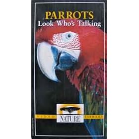 Nature: Parrots...Look Who's Talking [VHS]