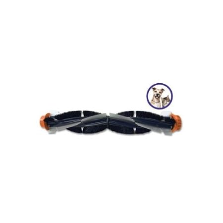 http://ecx.images-amazon.com/images/I/31achBuOFtL._SY450_.jpg