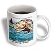Londons Times Funny Panel Hollywood Cartoons - Brooke Trout, Catch And Don t Release - Mugs