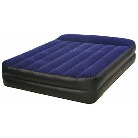 Polygroup Limited MC-77H-392 True Comfort Deluxe Queen Raised Airbed with 110-120V... by Polygroup Limited