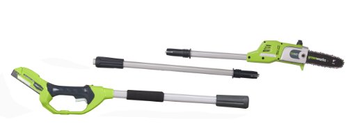 Greenworks 20102A 24-Volt 2.0 Amp Hour Cordless Lithium-Ion Pole Saw/Tree Pruner, 8-Inch