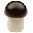 Boletus Mushroom