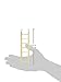 Prevue Pet Products BPV384 Birdie Basics 7-Step Wood Ladder for Bird, 12-Inch
