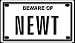Beware of Newt 2 1/4