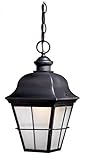 Vaxcel NH-ODD080OR New Haven 8-Inch Outdoor Pendant, Oil Rubbed Bronze [並行輸入品]