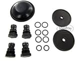 Hypro D252 Repair Kit