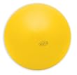 Altus Athletic AABB55 55cm Antiburst Ball with DVD and Pump Altus Athletic AABB55 55cm Antiburst Ball with DVD and Pump