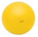 Altus Athletic AABB55 55cm Antiburst Ball with DVD and Pump
