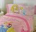 Disney Princess Dancers Twin Size Sheet Set