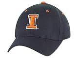 Illinois Fighting Illini DH Logo I Exact Fit Dar