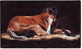Good as Gold (Foal) Doormat