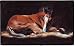 Pet Mat - 18.0 x 27.0 - good as gold horse.
