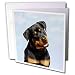 rottweiler31 - Dogs Rottweiler Rottweiler Greeting Cards12 Greeting Cards with
