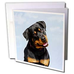 image link - - B002O1RTIE