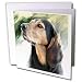 Dogs Black and Tan Coonhound - Black and Tan Coonhound - Greeting Cards-12 Greeting Cards with envelopes
