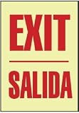 NMC Bilingual Exit/salida Safety Glow Sign